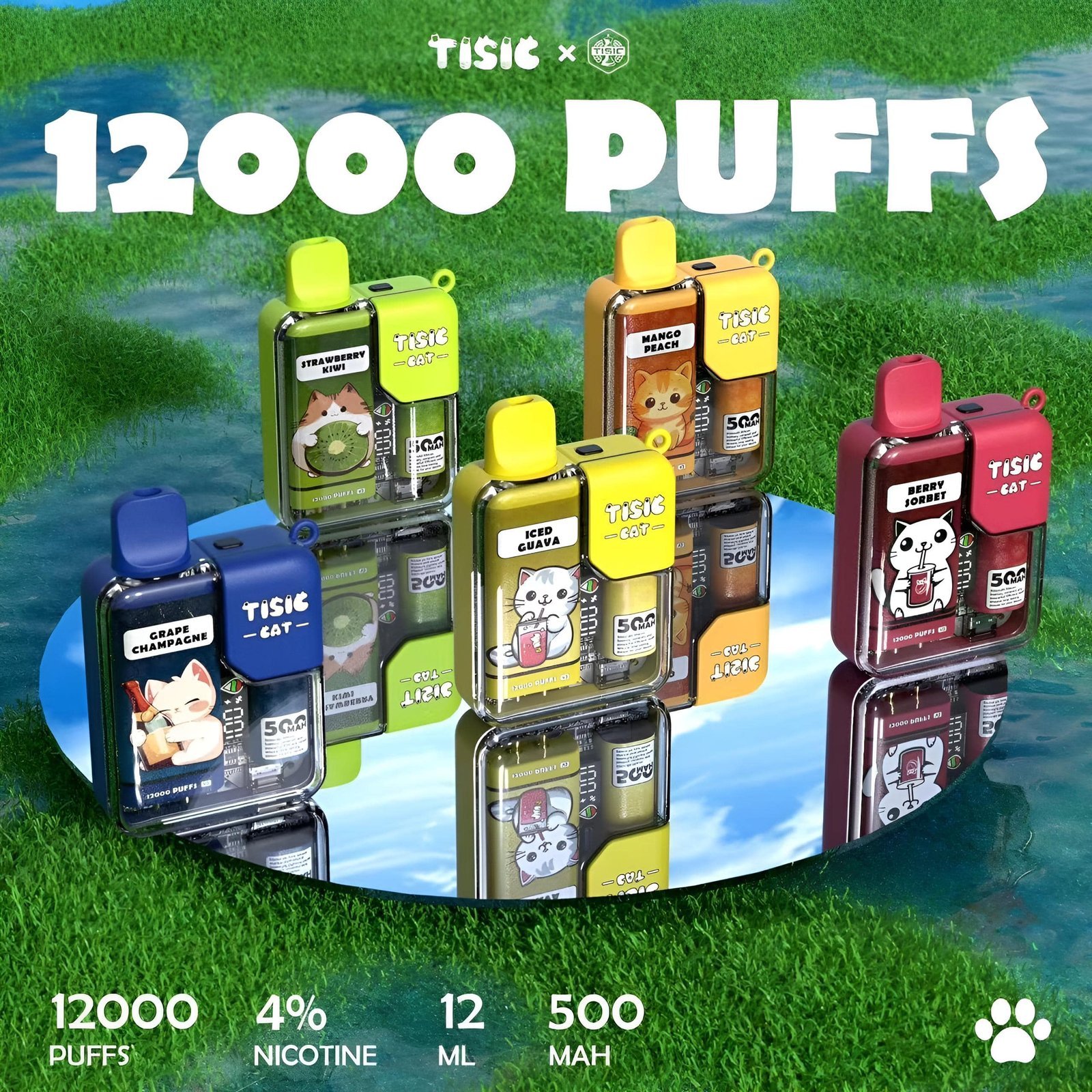 TISIC貓12000
